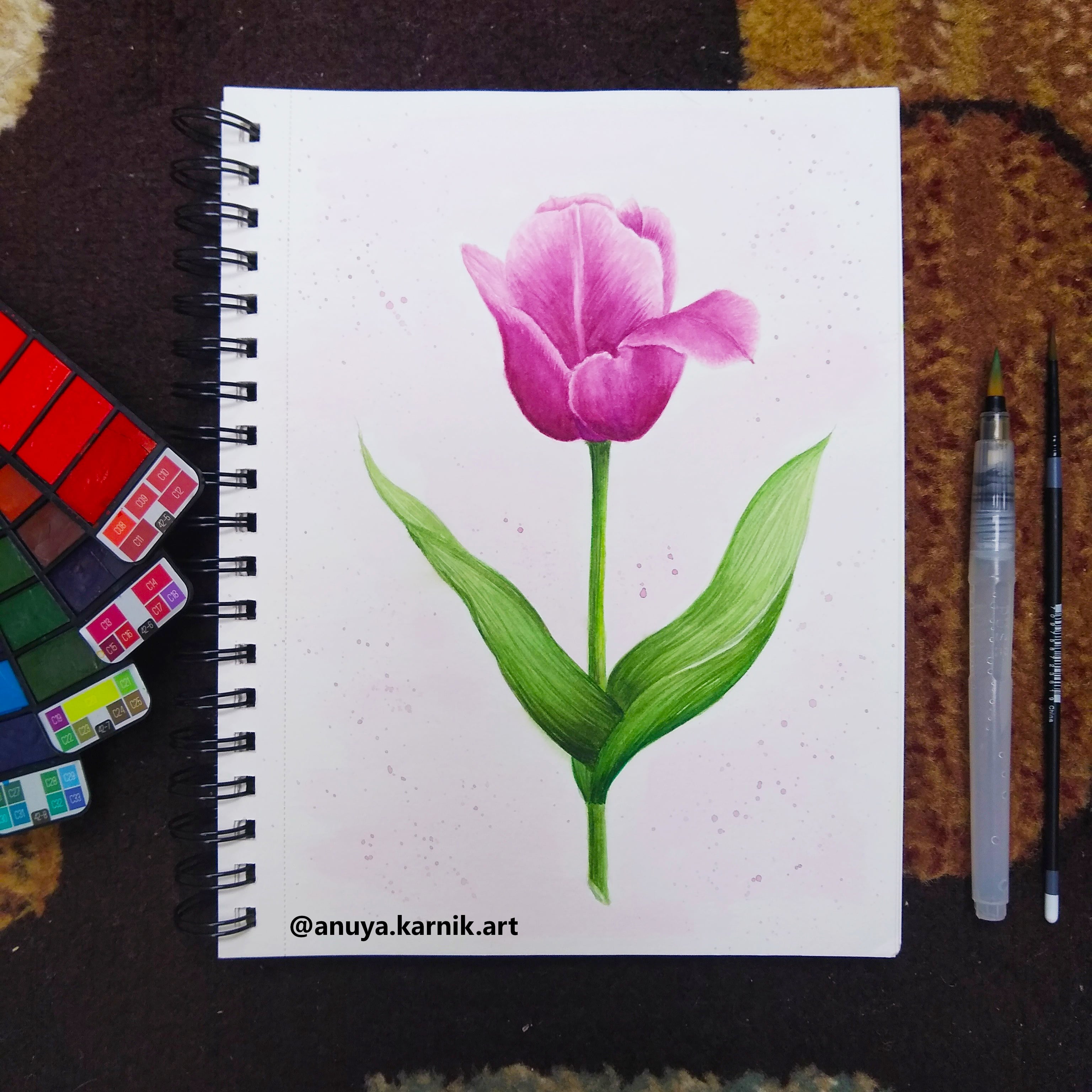 Pink Tulip