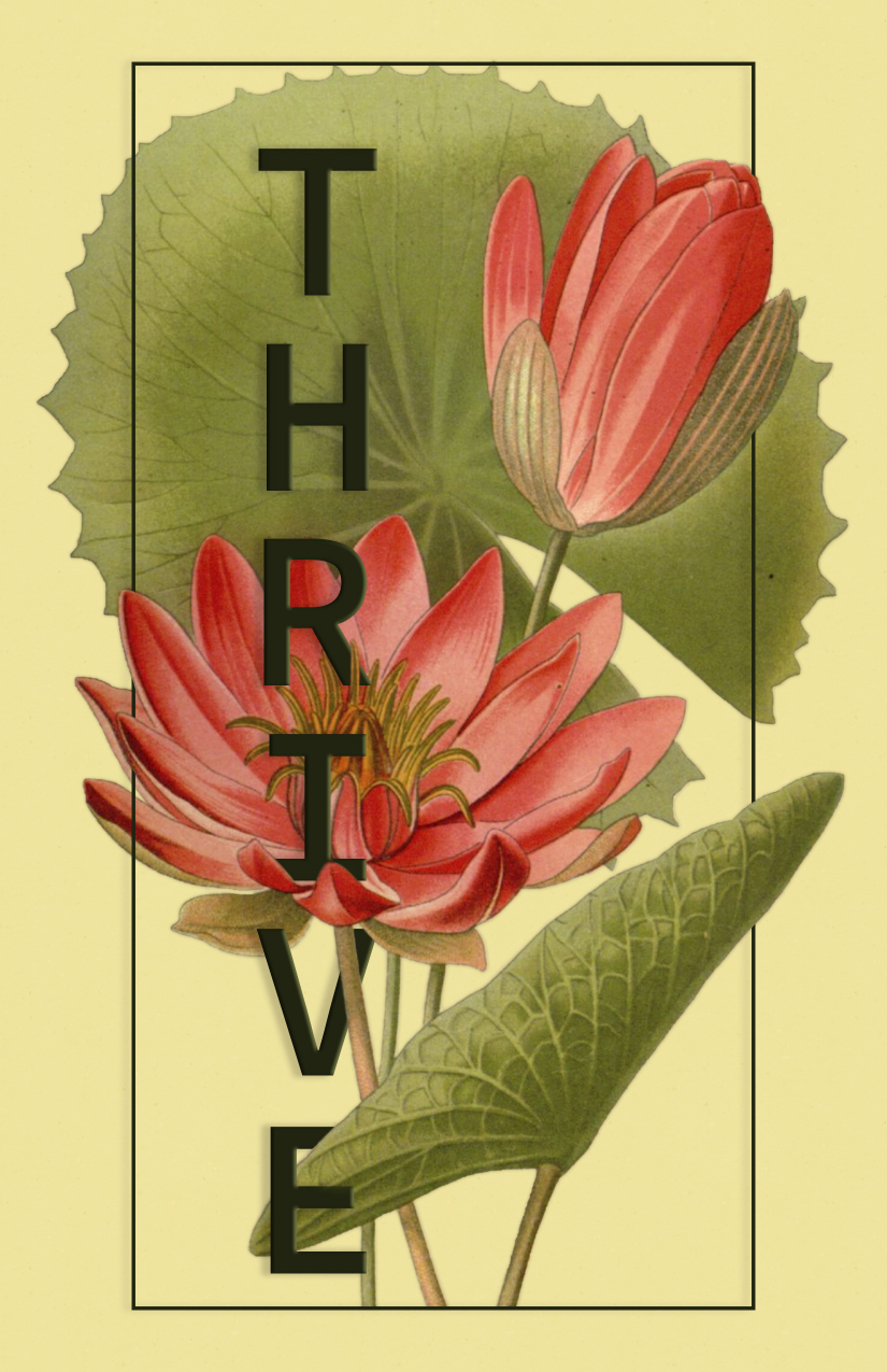 Visual Design Project: Thrive